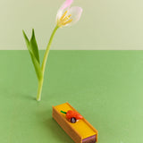 Easter Carrot Petit Cake 復活節胡蘿蔔蛋糕