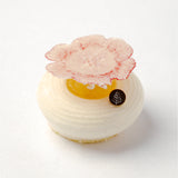 Japanese White Peach Charlotte Cake 日本白桃夏洛特蛋糕