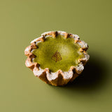Baked Japanese Cheese Tart (Kyoto Matcha)
