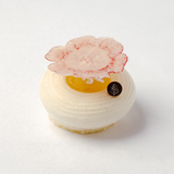 Japanese White Peach Charlotte Cake 日本白桃夏洛特蛋糕