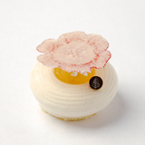 Japanese White Peach Charlotte Cake 日本白桃夏洛特蛋糕